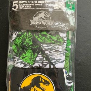 Boys sz 5 boxer briefs Jurassic world
